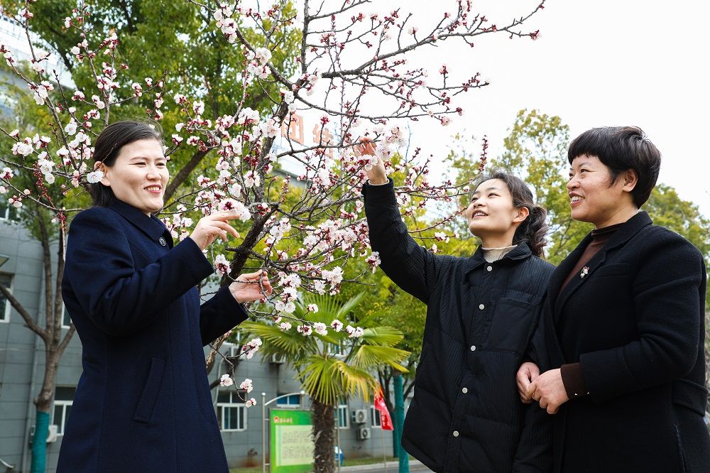 E449C6C045C8E7956242CC7424A_10C3615D_2A0EF